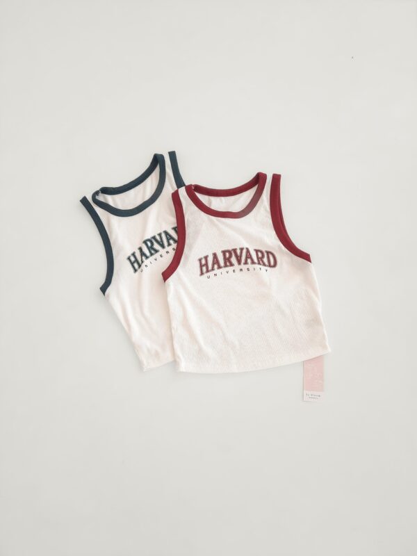 2025/03/1000296283-scaled.jpg Top Morley Harvard