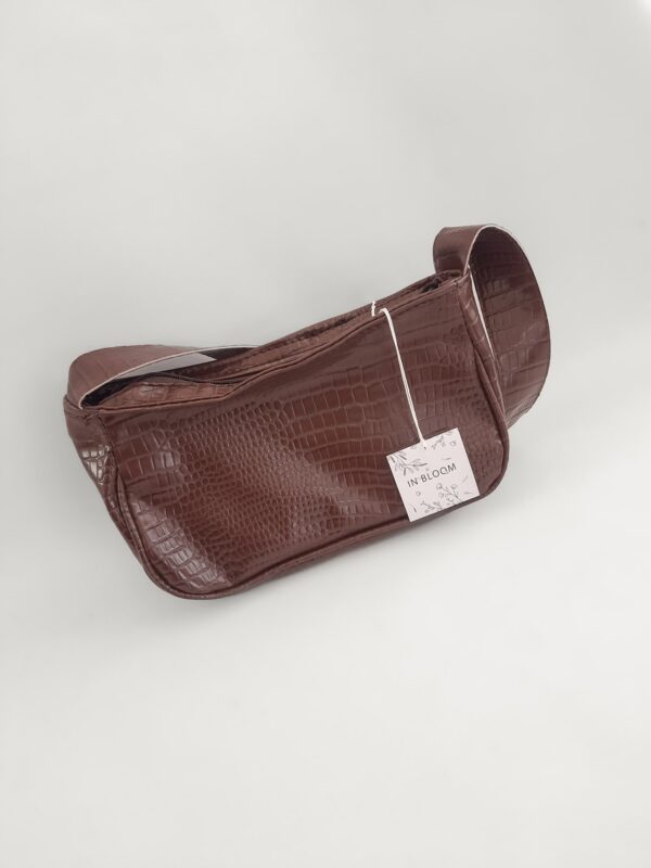 24-20241031_113316 Cartera Reptile