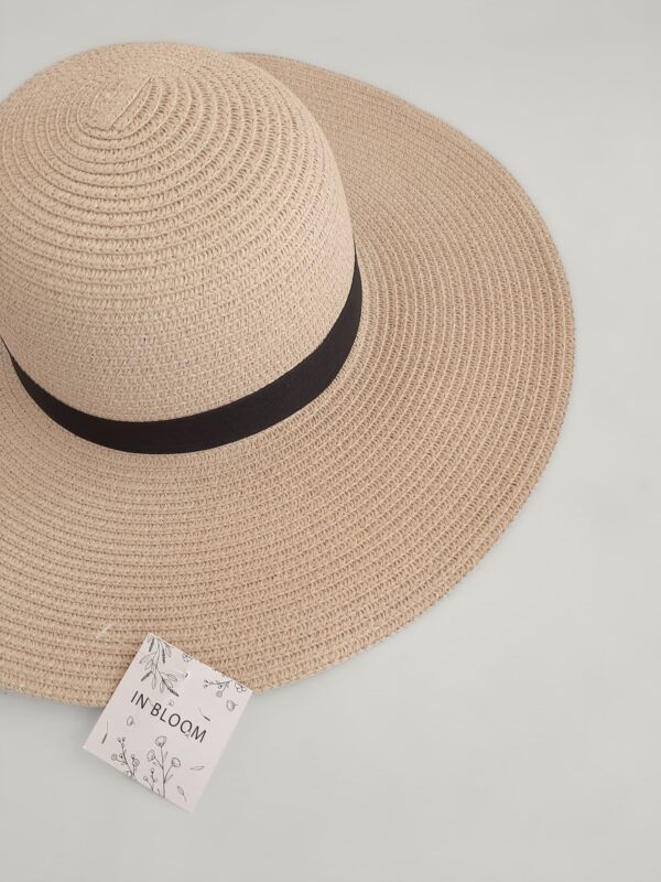29-20241031_112621 Sombrero Venice