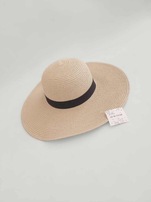 Sombrero Venice